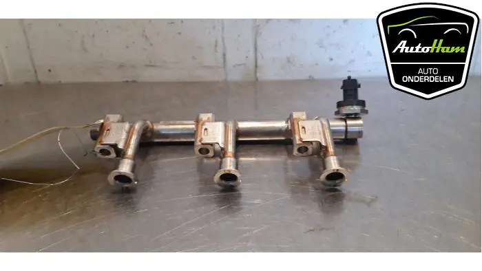 Galerij (Injectie) Ford Focus