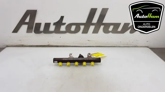 Galerij (Injectie) Renault Clio