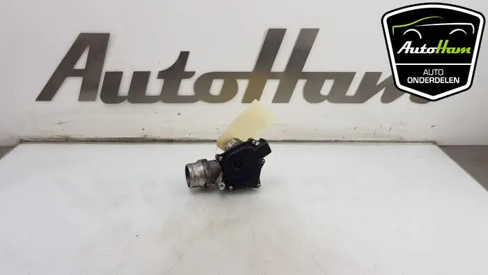 Gasklephuis Renault Clio