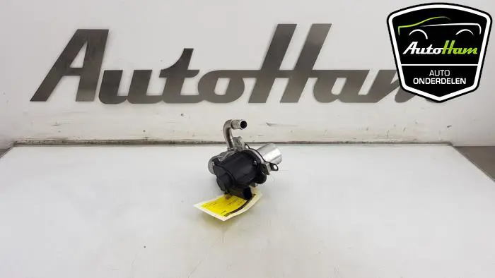 EGR Klep Renault Clio