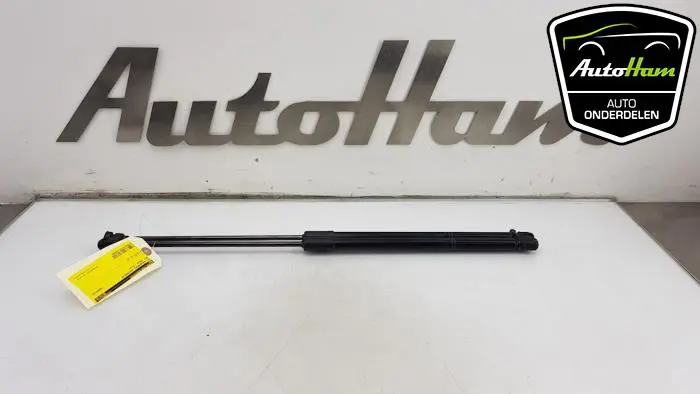 Set Gasdempers Achterklep Opel Corsa