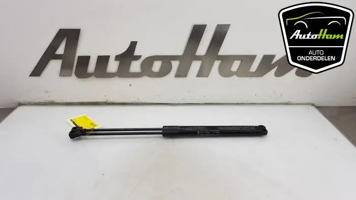 Set Gasdempers Achterklep Ford KA+