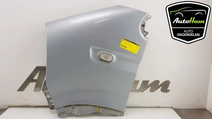 Scherm links-voor Renault Master