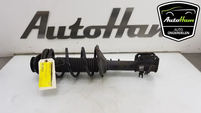 Schokdemper links-voor Suzuki Alto