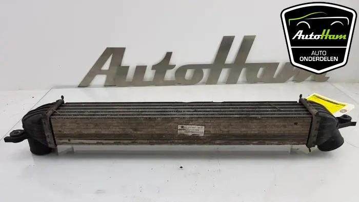 Intercooler Mini Mini