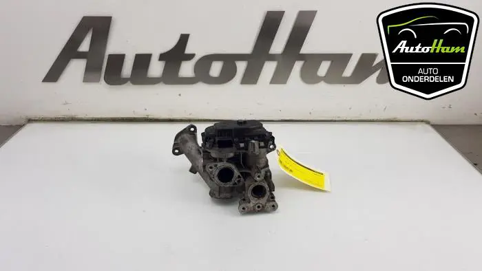 EGR Klep Peugeot 308
