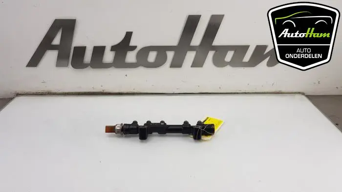 Galerij (Injectie) Peugeot 308