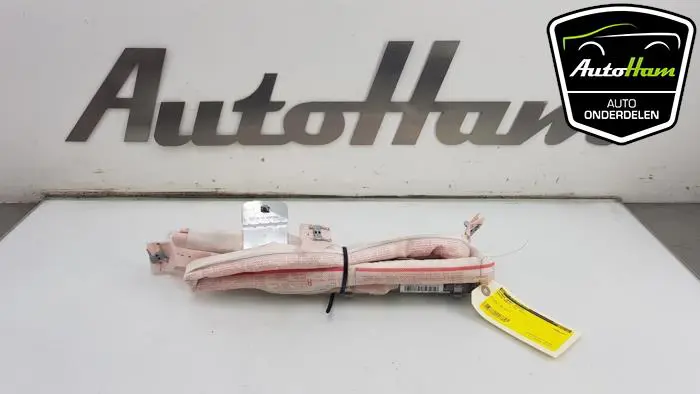Airbag hemel rechts Skoda Rapid