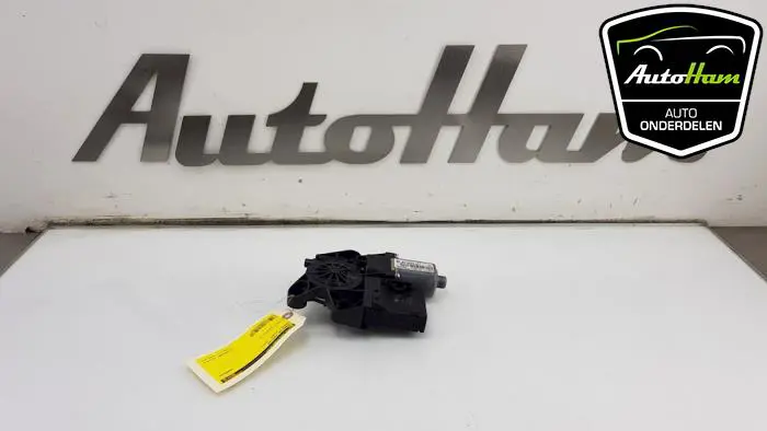 Raammotor Portier Renault Scenic