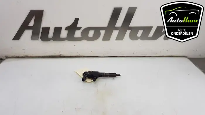 Verstuiver (diesel) Peugeot 307