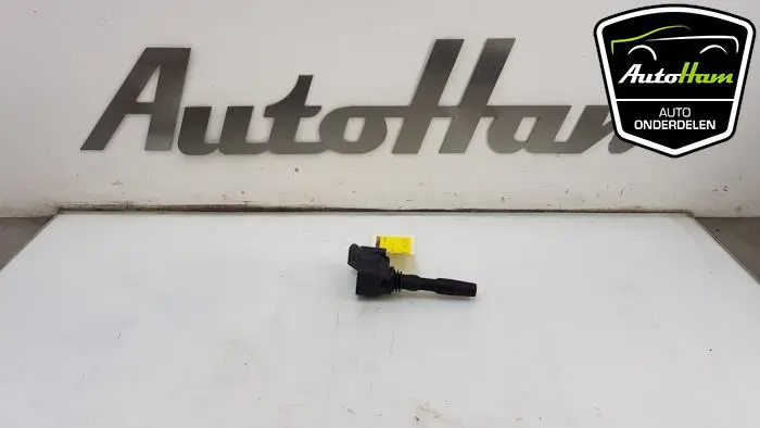 Pen Bobine Seat Ibiza