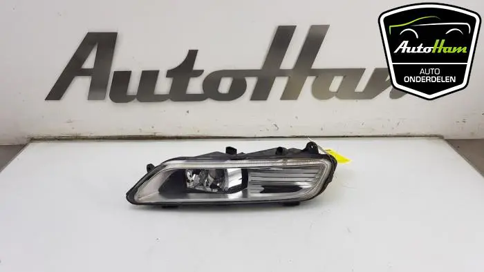 Mistlamp rechts-voor Volkswagen Passat