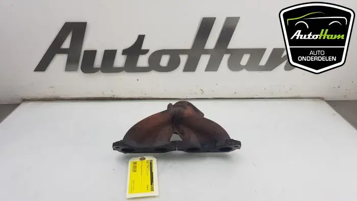 Uitlaatspruitstuk Renault Twingo