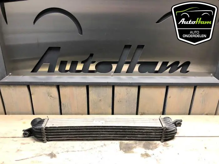Intercooler Mini Mini