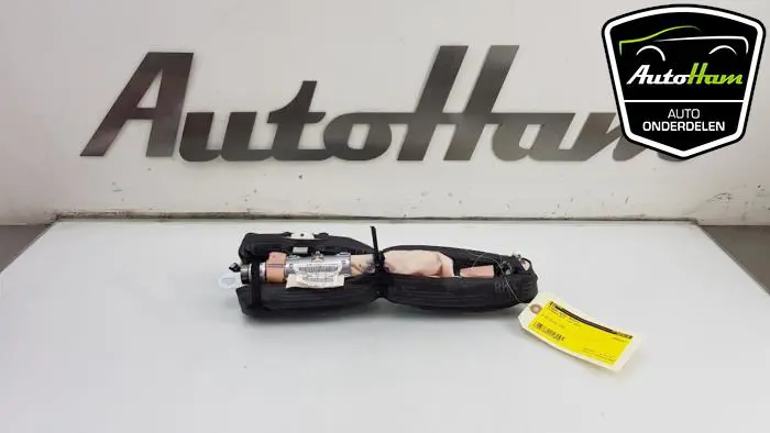 Airbag hemel rechts Citroen DS3