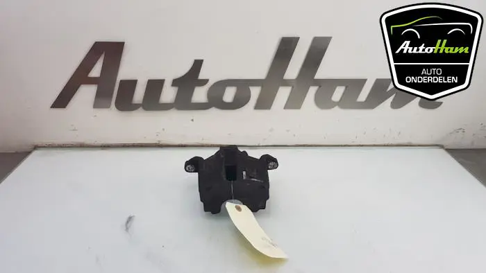 Remklauw (Tang) links-voor Citroen DS3
