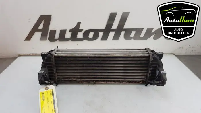 Intercooler Ford Transit Connect