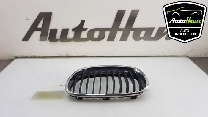 Grille BMW 1-Serie