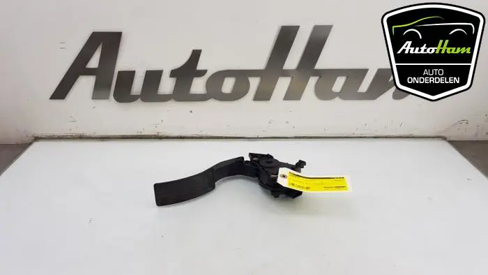 Gaspedaal Renault Clio