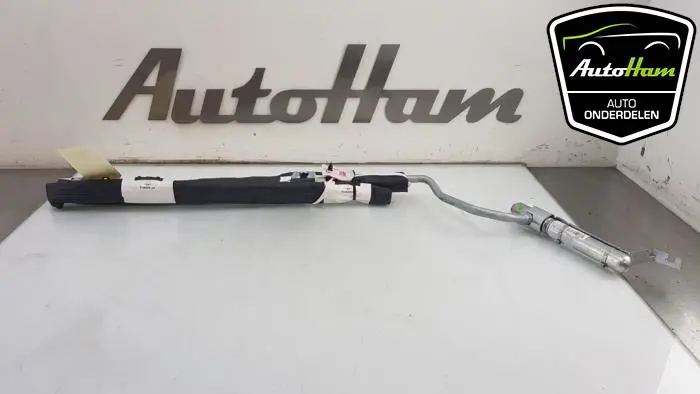 Airbag hemel links Renault Clio