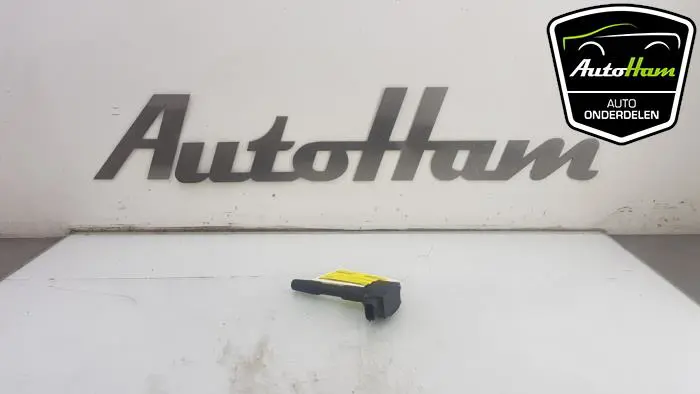 Pen Bobine Renault Clio