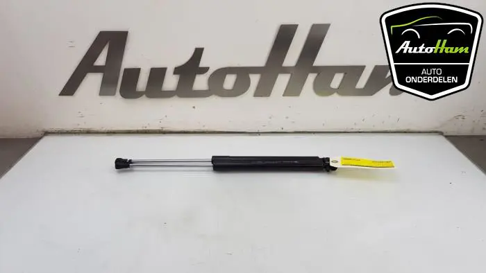 Set Gasdempers Achterklep Renault Clio