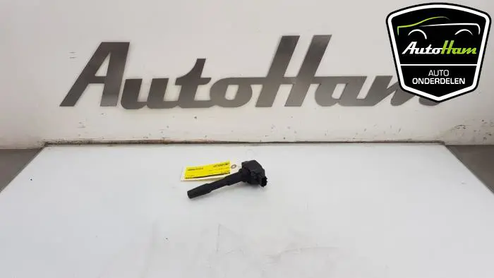 Pen Bobine Renault Clio