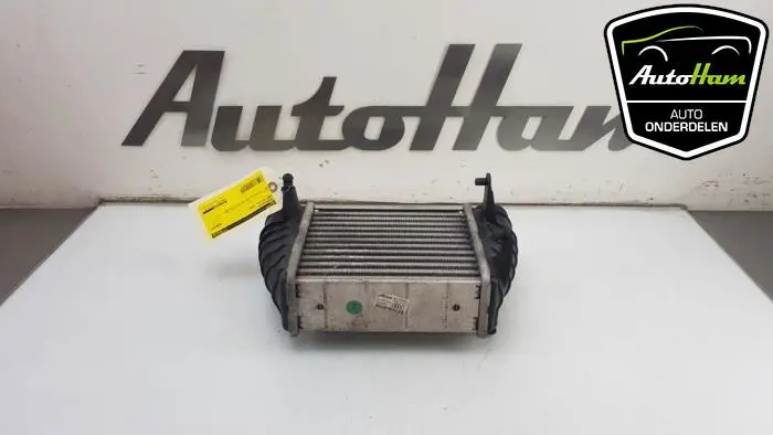 Intercooler Audi A4