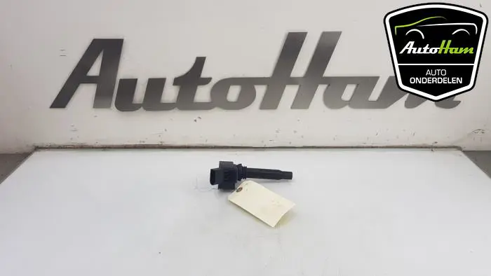 Pen Bobine Volkswagen Polo