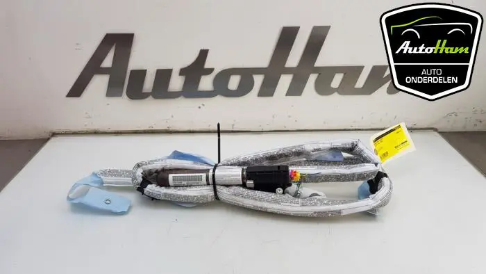 Airbag hemel rechts Audi A6