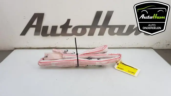 Airbag hemel rechts Seat Toledo