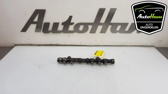 Galerij (Injectie) Fiat Doblo