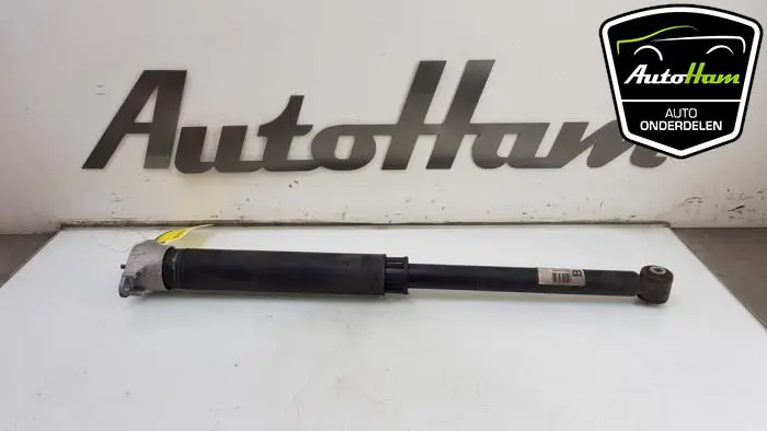 Schokdemper links-achter Ford Fiesta