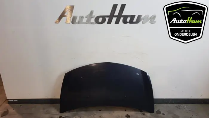 Motorkap Renault Clio