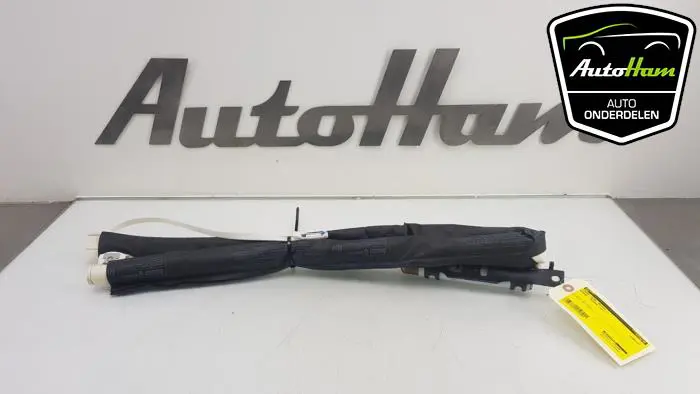Airbag hemel rechts Renault Megane