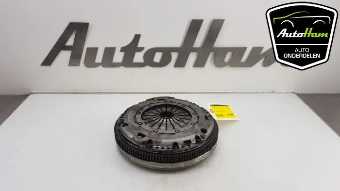 Dubbele massa vliegwiel Seat Ibiza