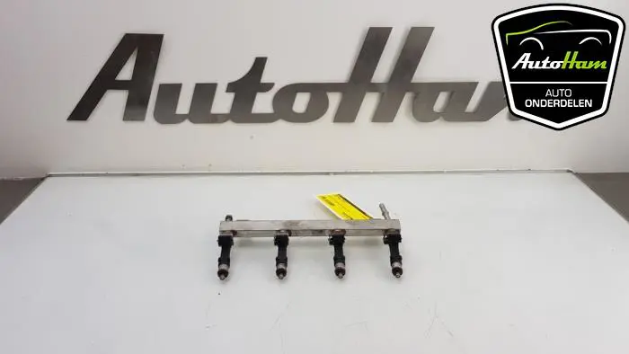 Galerij (Injectie) Opel Adam