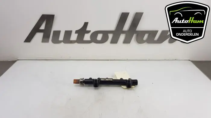 Galerij (Injectie) Citroen Berlingo