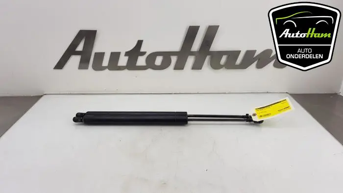 Set Gasdempers Achterklep Ford Galaxy