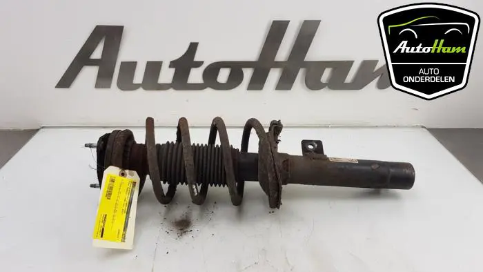 Schokdemper links-voor Ford Transit Connect