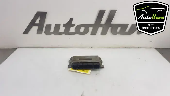 Computer Motormanagement Renault Twingo