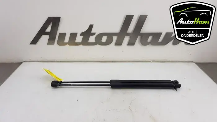 Set Gasdempers Achterklep Ford B-Max