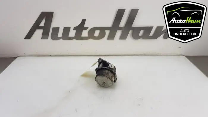Vacuumpomp (Diesel) Renault Clio