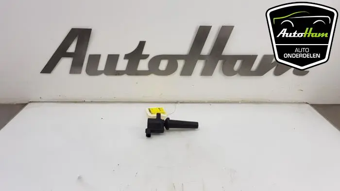 Pen Bobine Ford C-Max