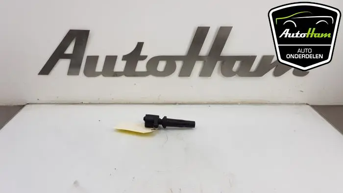 Pen Bobine Ford C-Max