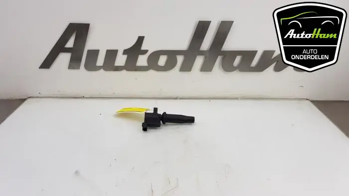 Pen Bobine Ford C-Max