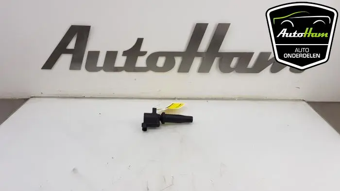 Pen Bobine Ford C-Max