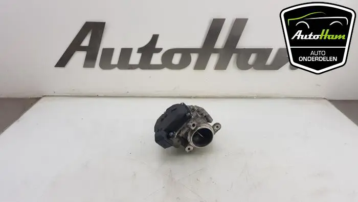 Gasklephuis Volkswagen Golf