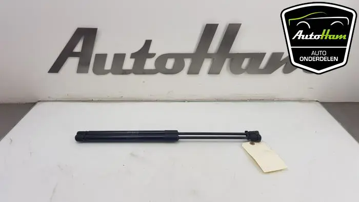 Set Gasdempers Achterklep Citroen C4