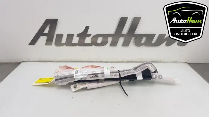 Airbag hemel links Seat Ibiza